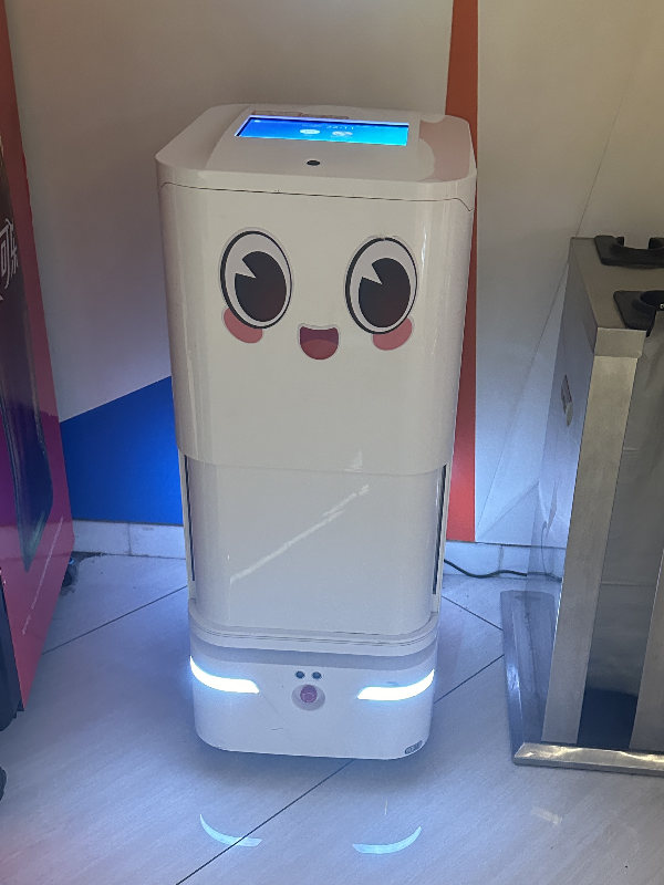 Robot