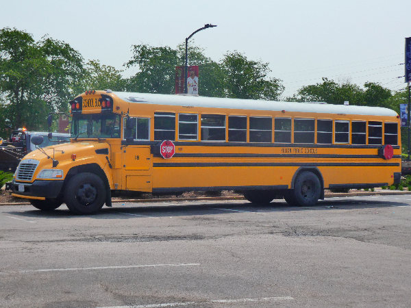 School Bus