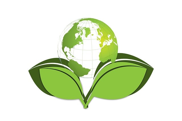 Green leaves and globe