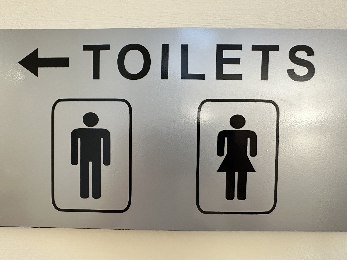 Singing toilets and everything else