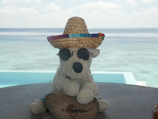 Toy dog on holiday