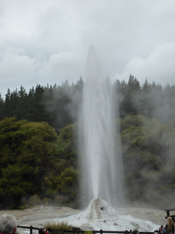 Lady Knox Geyser