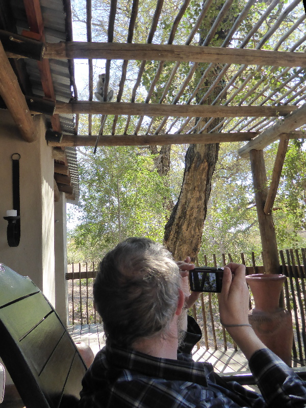 Being watched by a monkey