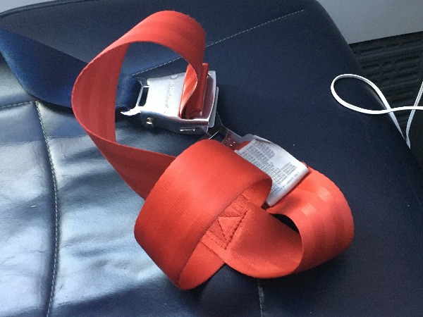Seatbelt Extension
