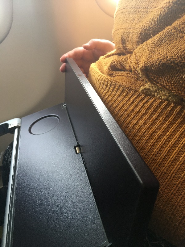 Airplane tray