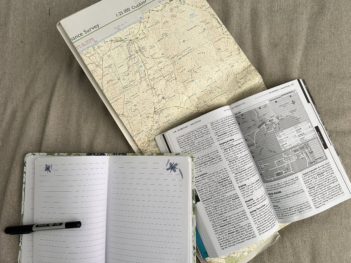To plan or not to plan?
