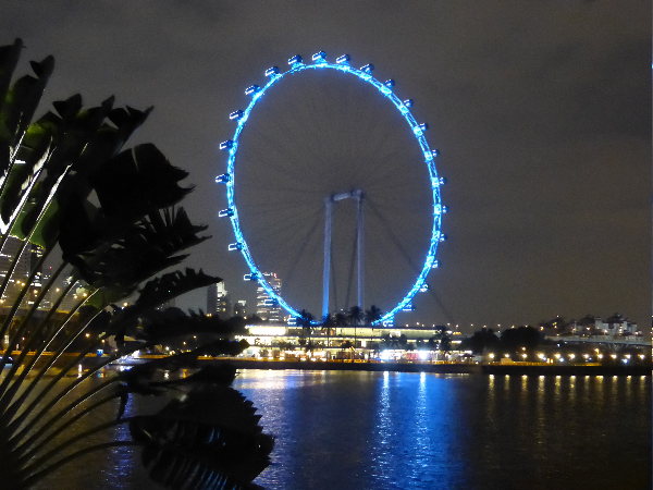 The Singapore Flyer