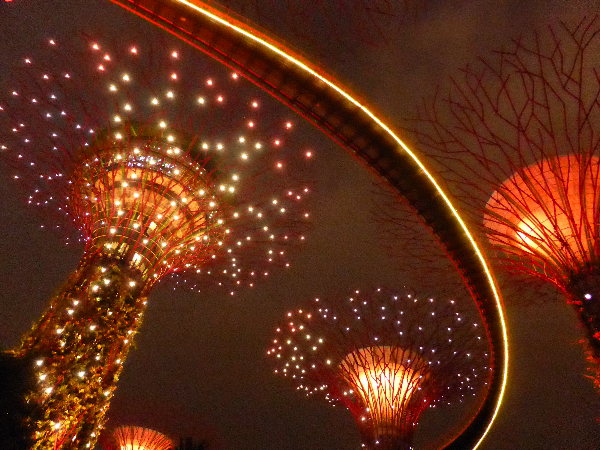 Supertrees at night