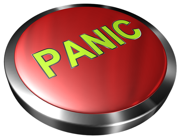 Panic Button