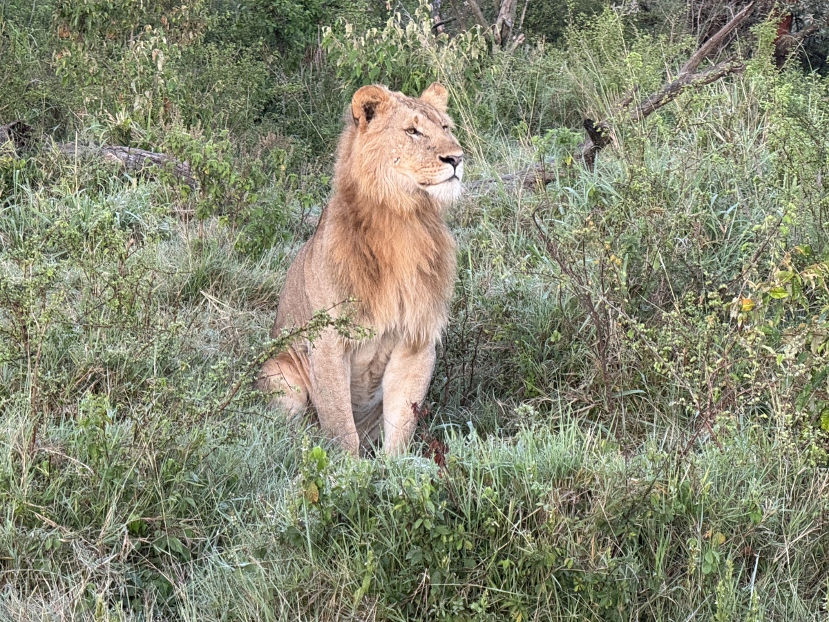 Dangerous animals you need to be aware of