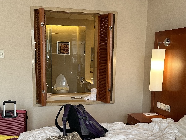 Bathroom window